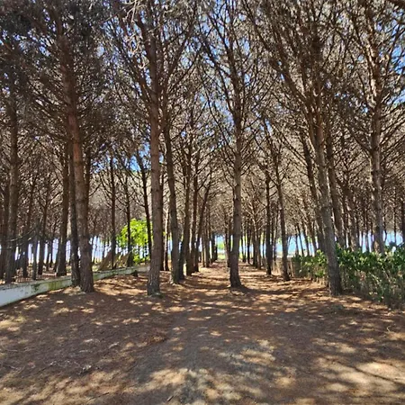 Molla Garden *