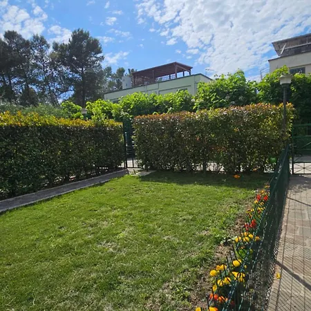 Molla Garden * Голем