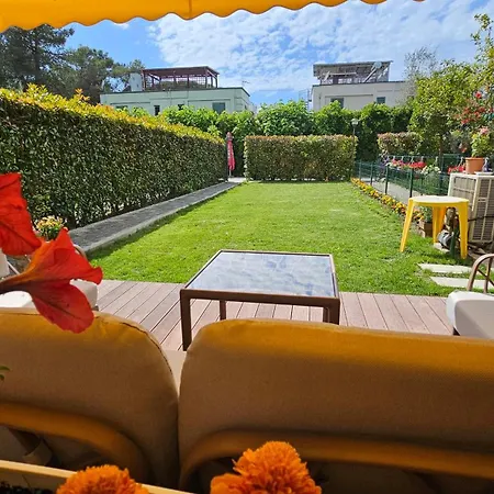 Molla Garden